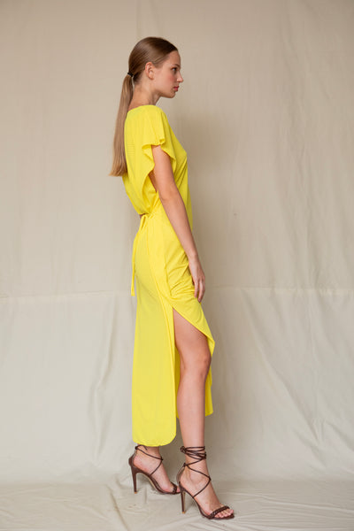 Erika Dress Sheer Yellow